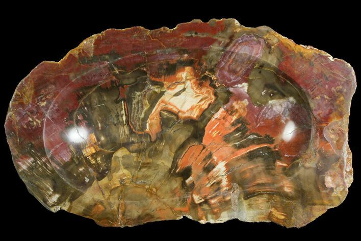 Colorful Polished Petrified Wood Dish - Madagascar #169133